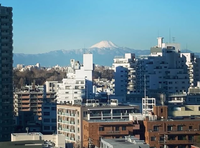 東京バースクリニックの病室から見える景色
