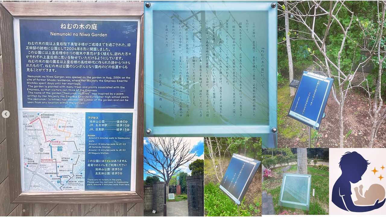 東京バースクリニックの近隣の様子～ねむの木の庭～