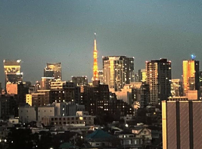 東京バースクリニックの病室からの眺め～東側～