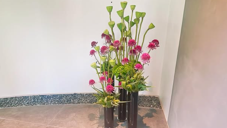 🪷東京バースクリニックのお花をご紹介いたします🪷