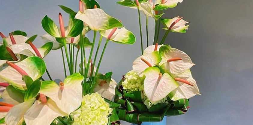 今週のお花のご紹介