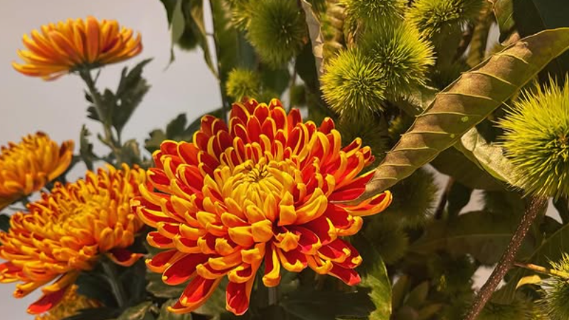 Nicolai Bergmann コラボレーション