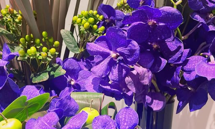 ✨Nicolai Bergmann × Tokyo Birth Clinic✨