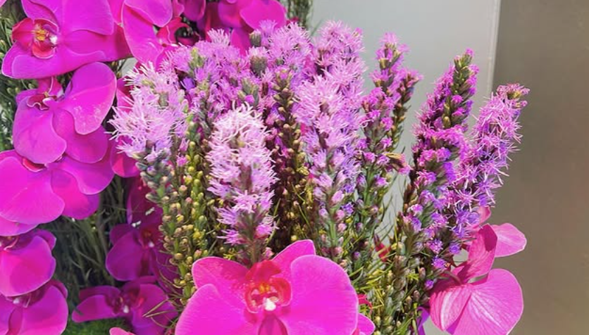 🌺【Nicolai Bergmann × Tokyo Birth Clinic】