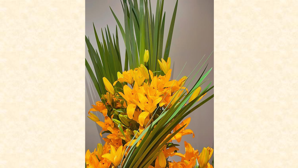 ✨Nicolai Bergmann × Tokyo Birth Clinic✨