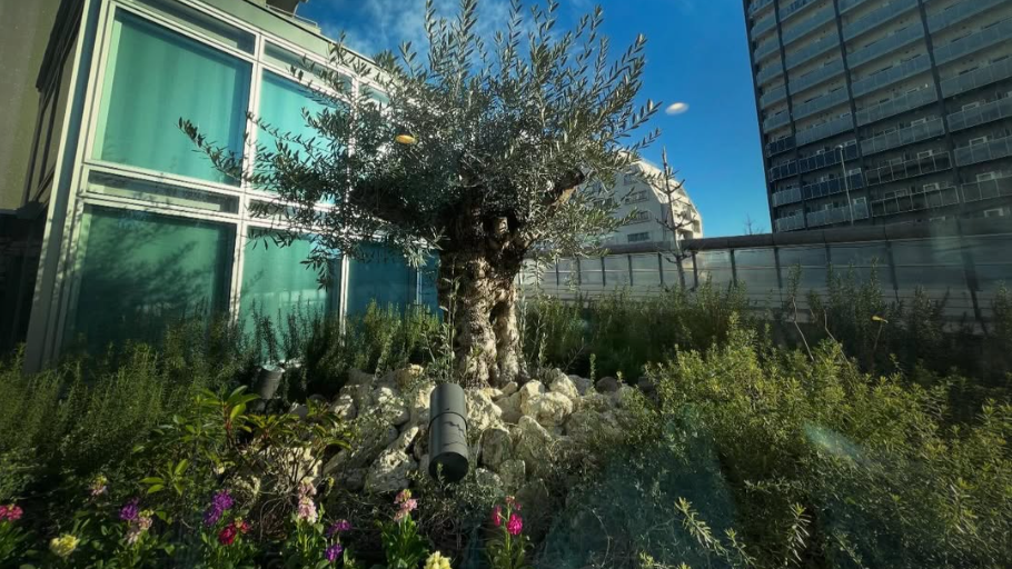 休診日の受診のご対応について