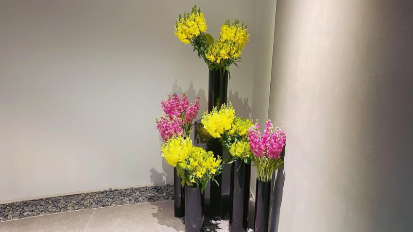 ニコライバーグマン × 院長が愛するストックの花