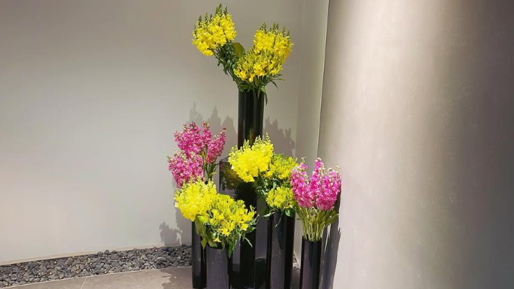 ニコライバーグマン × 院長が愛するストックの花💫