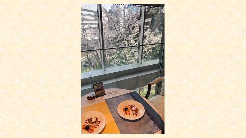 春のやわらかな光とともに🐇🌸