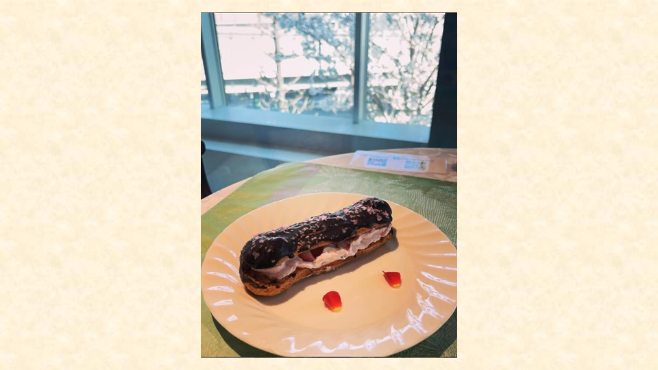 春のやさしいひととき🌸