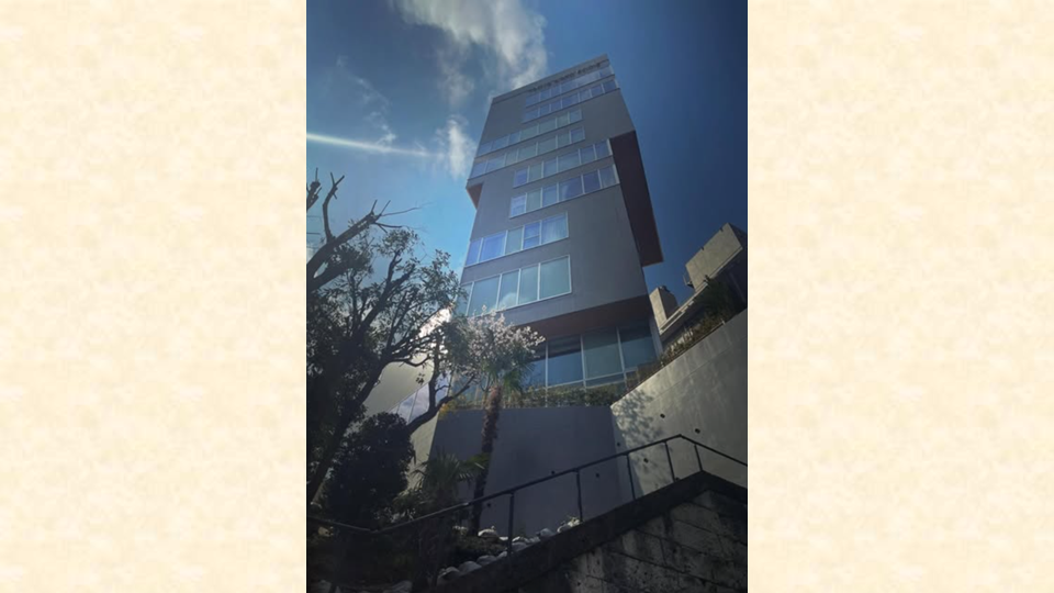 春のやさしい時間が、今年も当院を彩ってくれました🌸