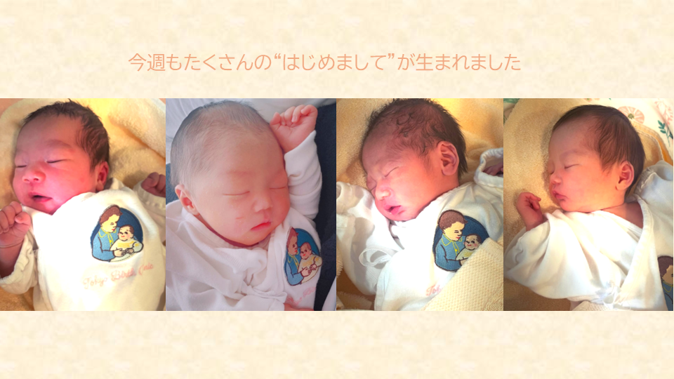 🕊️✨ 今週も、たくさんの“はじめまして”が生まれました ✨🕊️